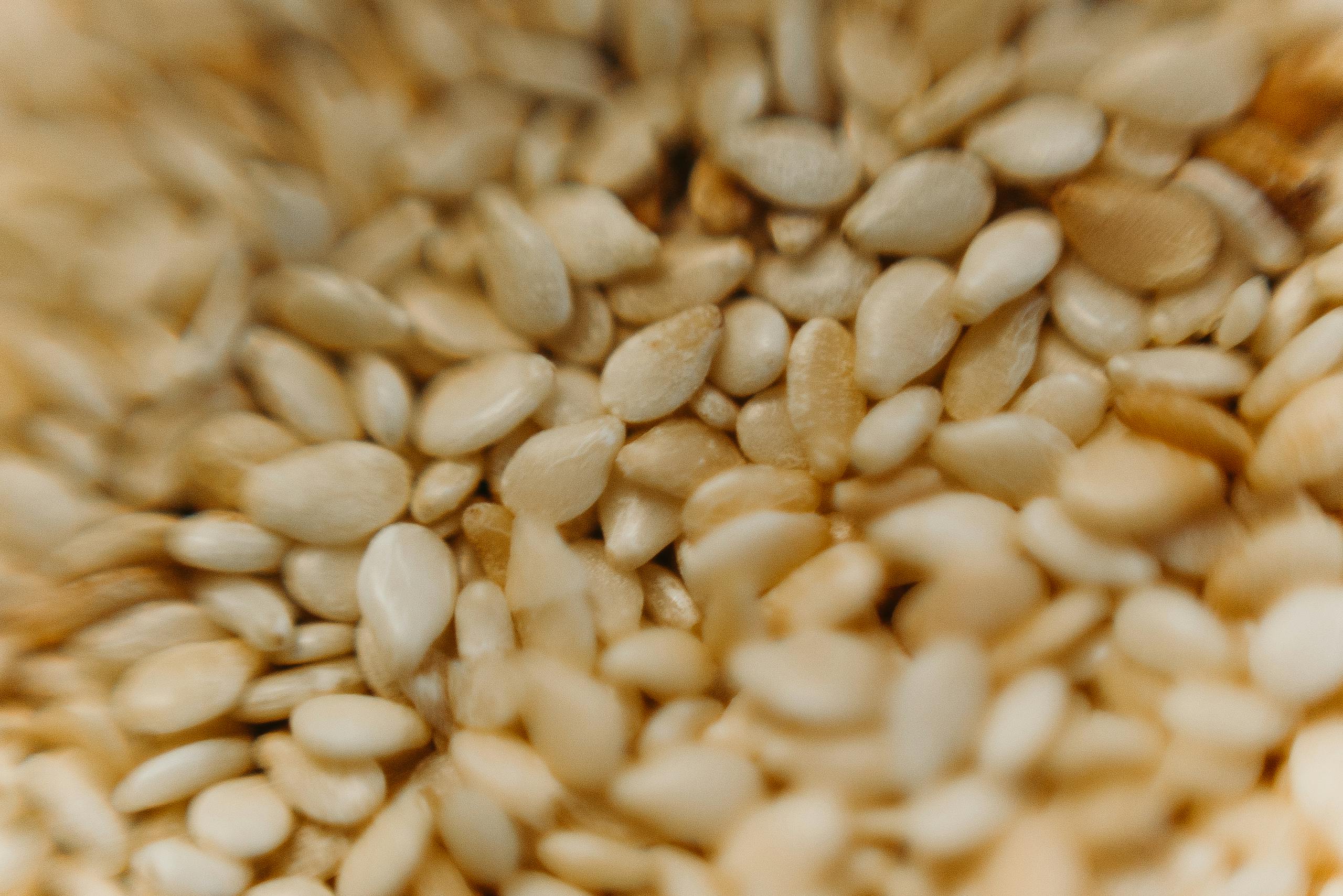 Detailed macro photography of raw sesame seeds capturing texture and earthy tones.